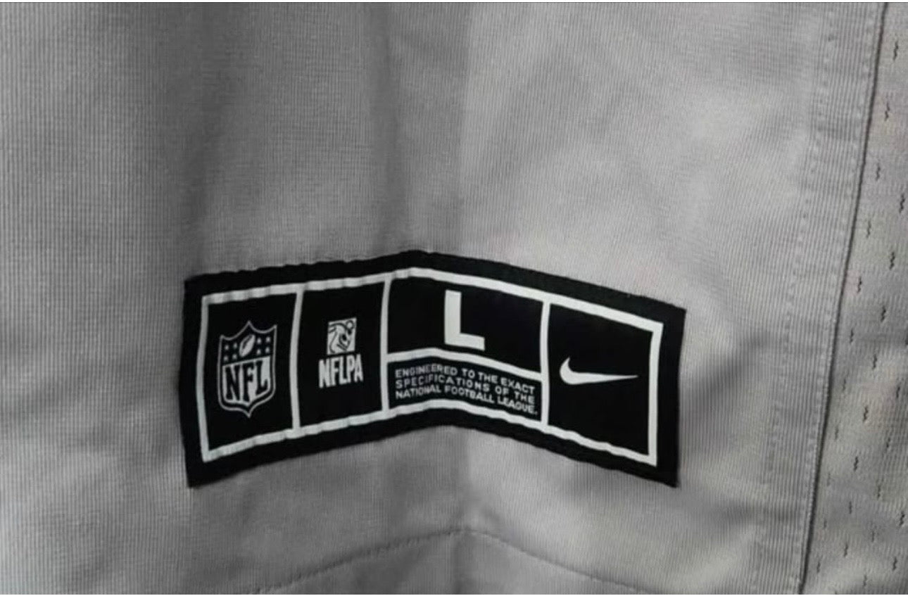 Camiseta/Jersey Philadelphia Eagles GRIS 🦅🏈